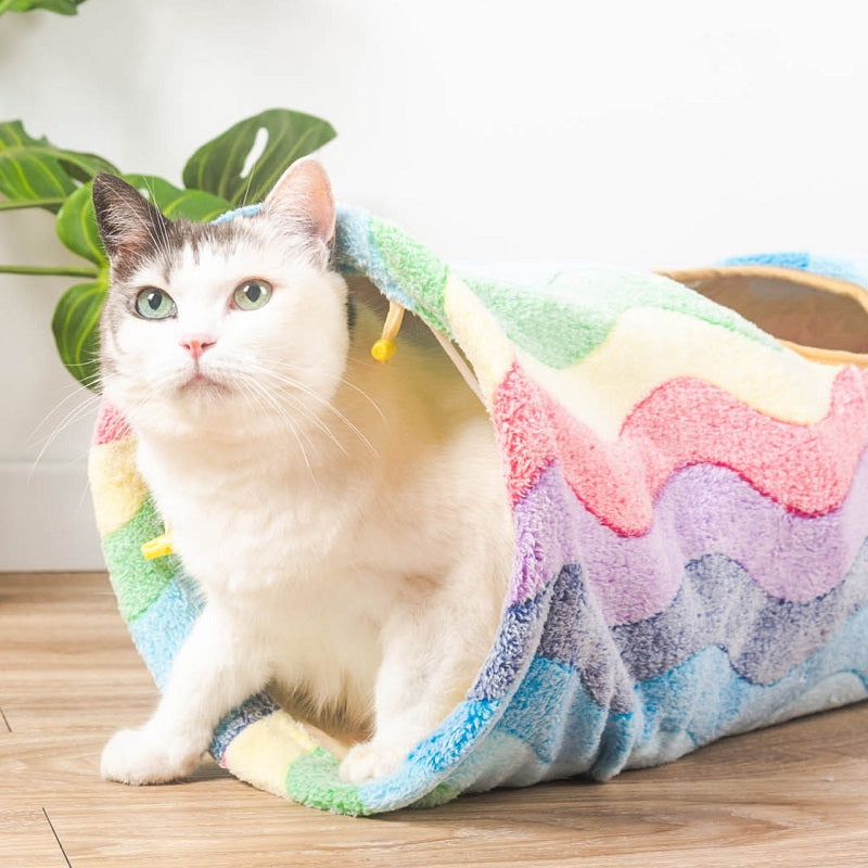 Rainbow Cat Tunnel