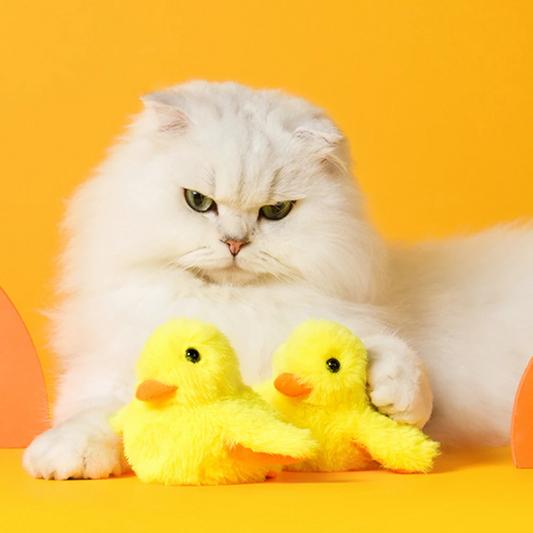 Duck Toy for Cats